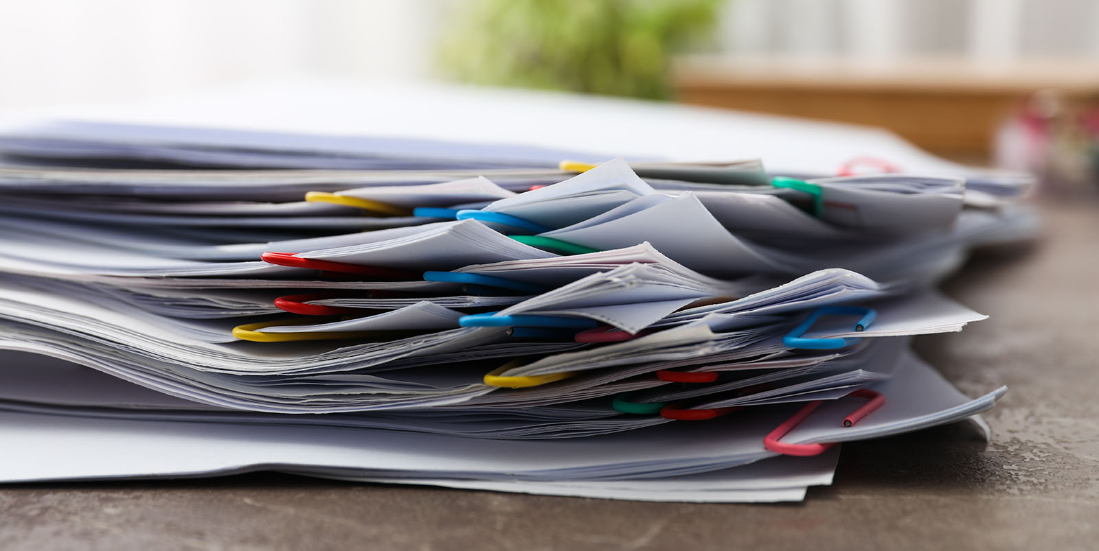 HACCP takarítási és fertőtlenítési utasítás, terv